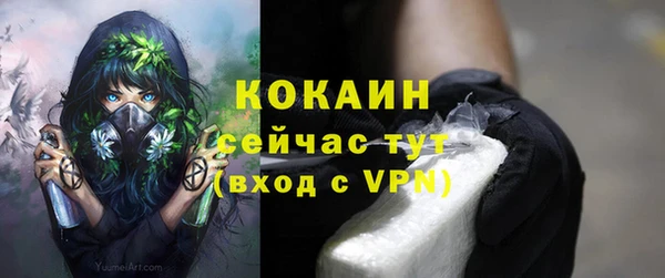 ешки Арсеньев