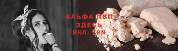 ешки Арсеньев