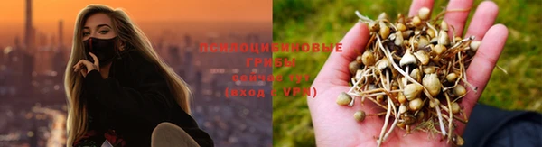 apvp Армянск