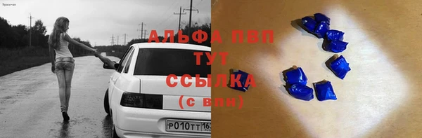 ешки Арсеньев
