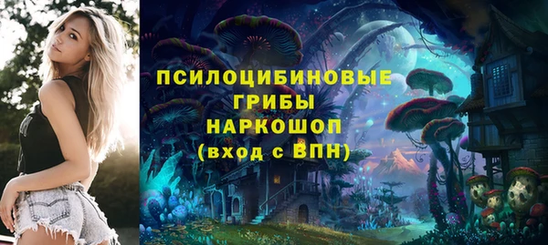 ешки Арсеньев