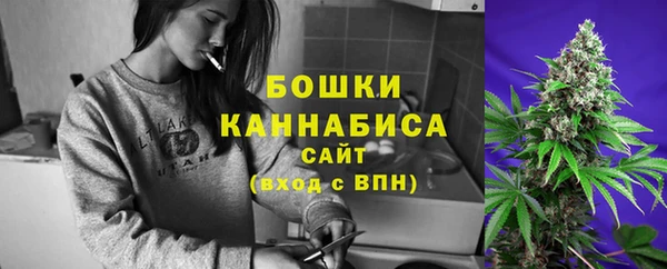 ешки Арсеньев